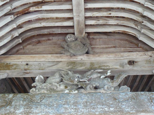 ���n�_��