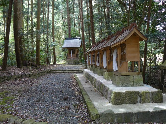 ���n�_��