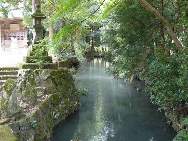 ���n�_��