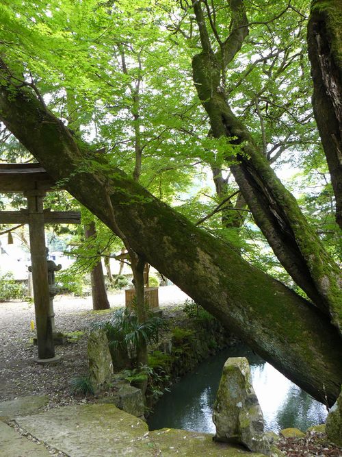 ���n�_��