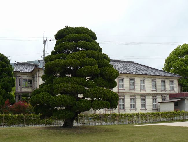 ���X��S�e�����g�����������w�Z�Z��