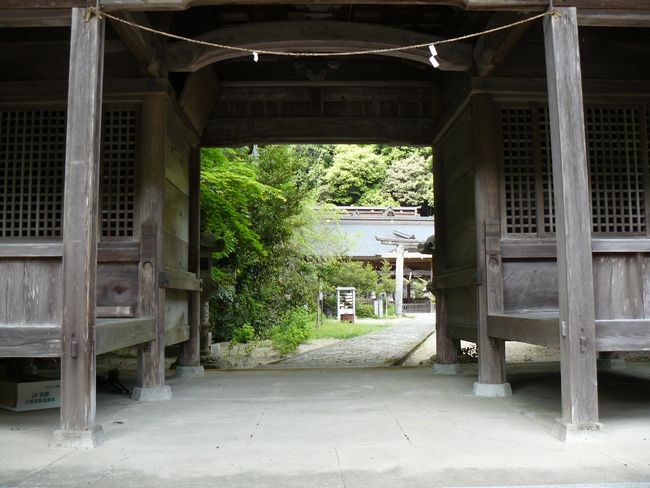 �����_��