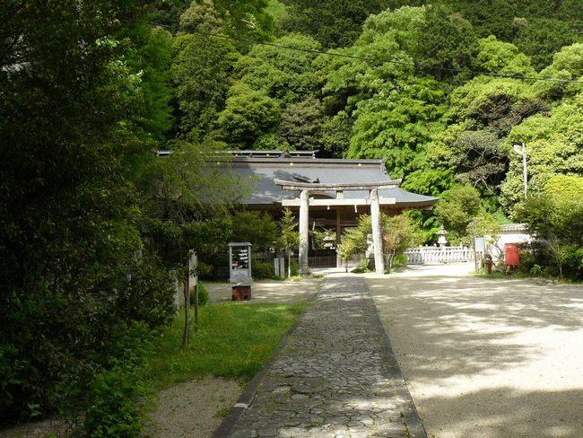 �����_��