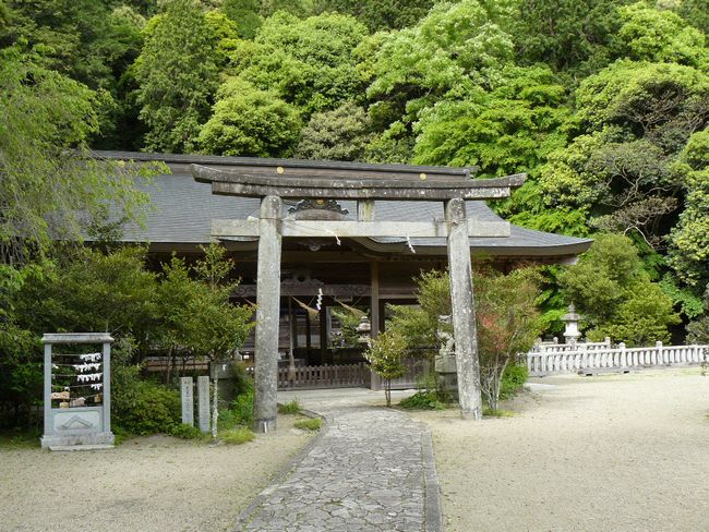 �����_��