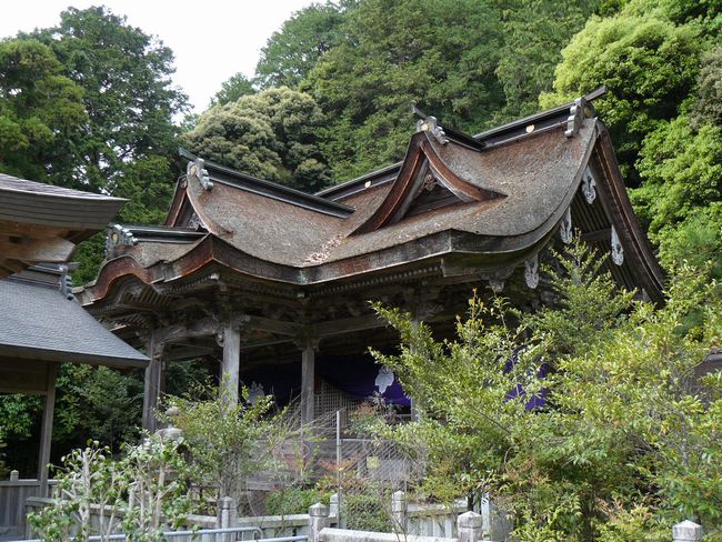 �����_��