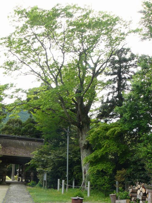 �����_��