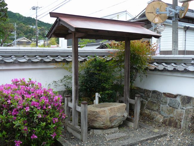 ���M�_��