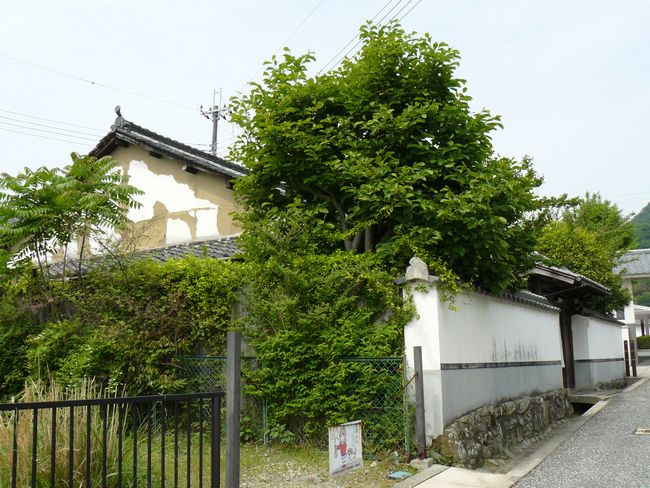 �O�ؘI�����@���