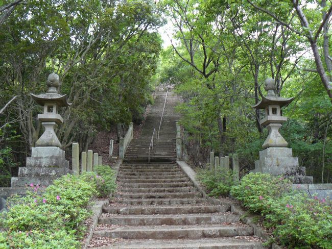 �쌩�h��_��