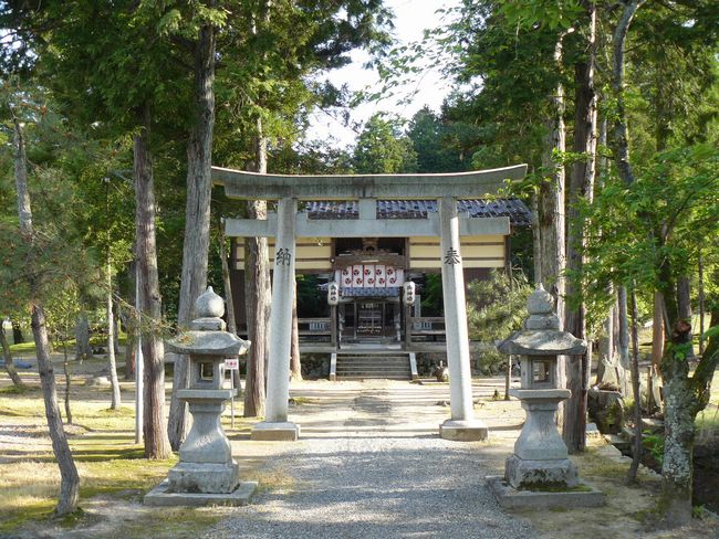 �v�X��_��