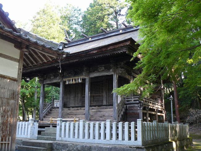 �v�X��_��