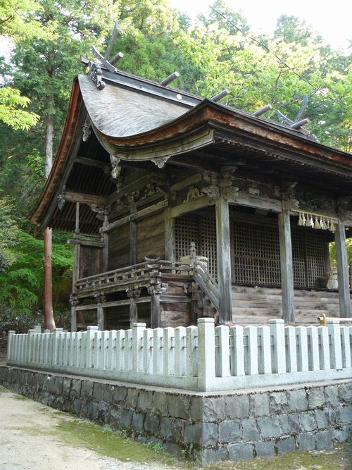 �v�X��_��