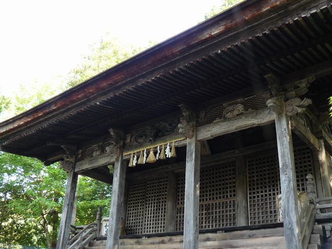 �v�X��_��