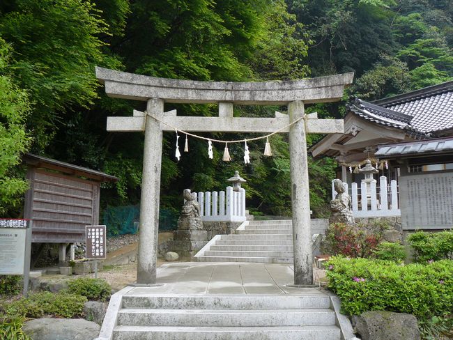 �����_��