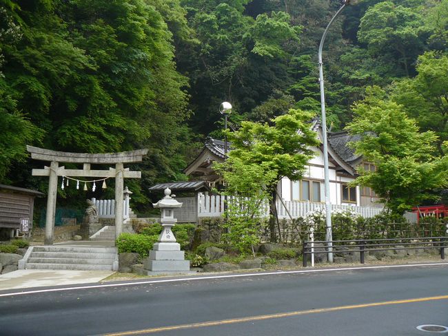 �����_��