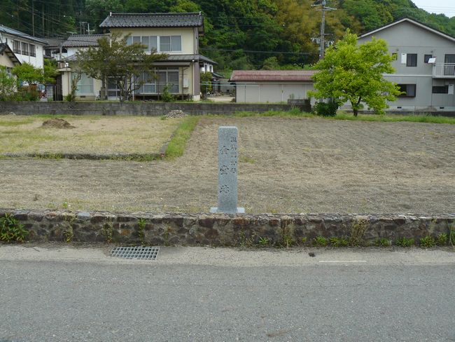 �A�n������