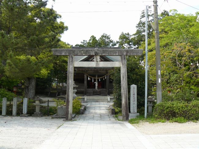 �����_��