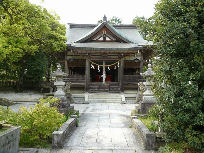 �����_��