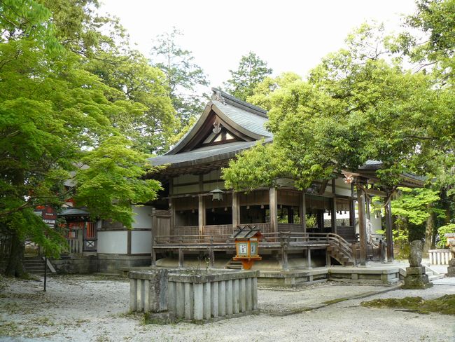 �����_��