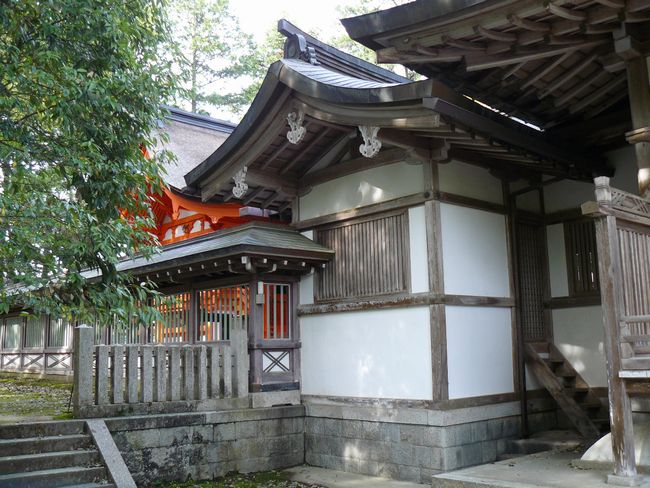 �����_��