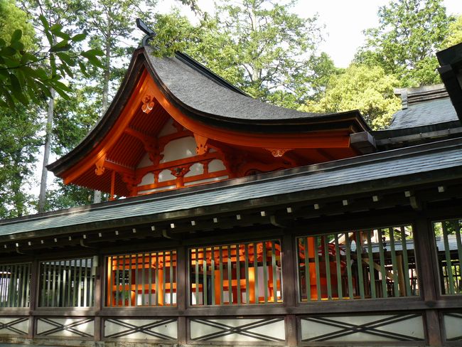 �����_��