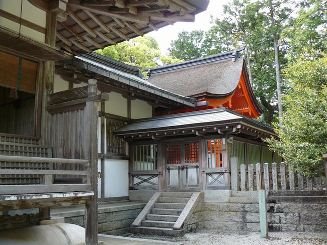 �����_��