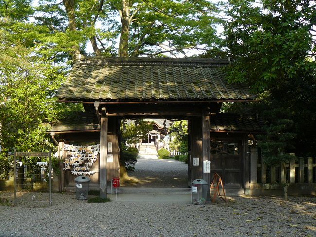 ���c���p�_��