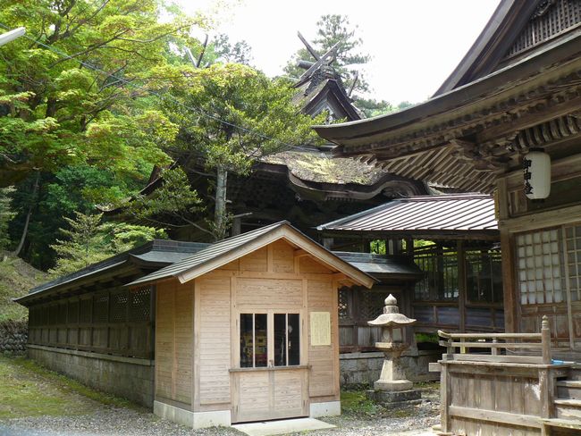 �{���_��