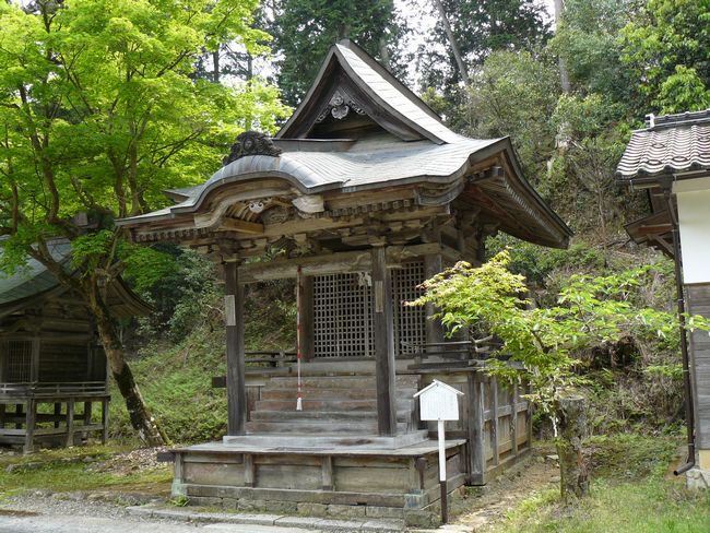 �{���_��