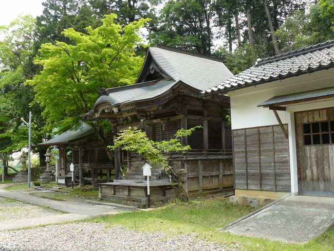 �{���_��