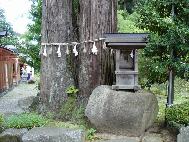 �����_��