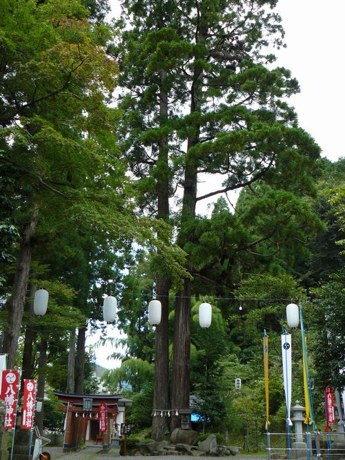 �����_��