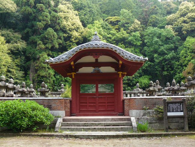 �匴�����揊����