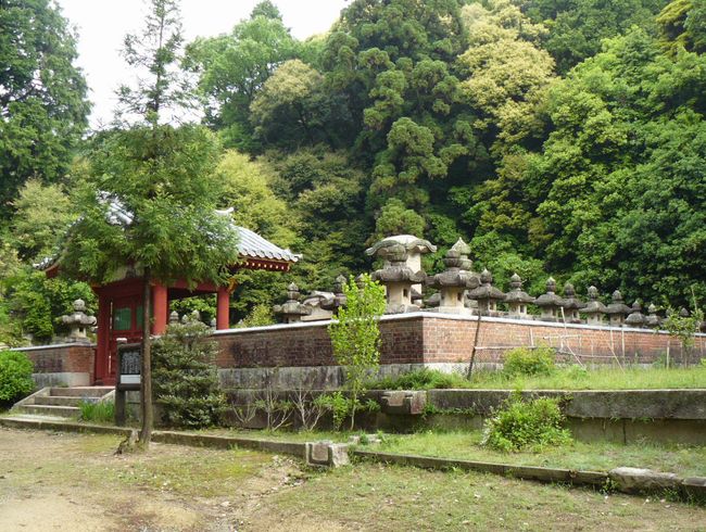 �匴�����揊����